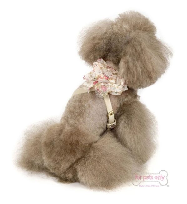 Romantic rose harness-Cream - Image 2