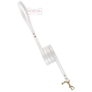 Gold collection plain lead white-gold