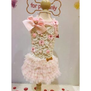 Crush Lace Dress-Limited Edition