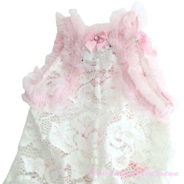 Crush Lace Dress-Limited Edition - Image 4