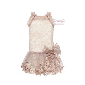 Dreamy girl lace dress-peach