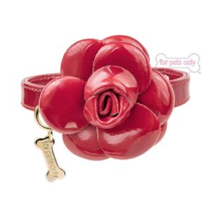 red camellia collar-limited edition