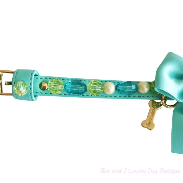 Chick aqua collar-limited edition - Image 2