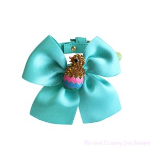 Chick aqua collar-limited edition