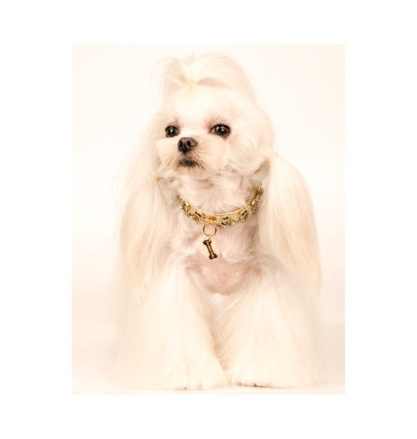crystal garden gold collar - Image 2