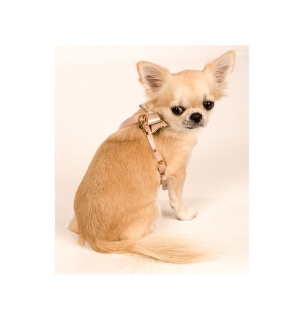 créme de nude harness - Image 2