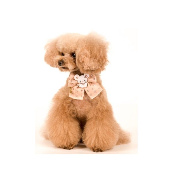 topomio blush collar - Image 2