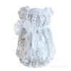 white dream lace dress-Limited edition