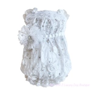 white dream lace dress-Limited edition