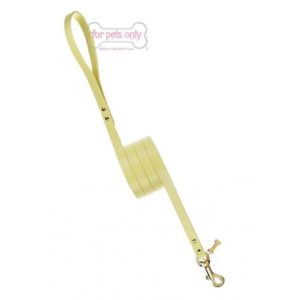 plain yellow lead-silver